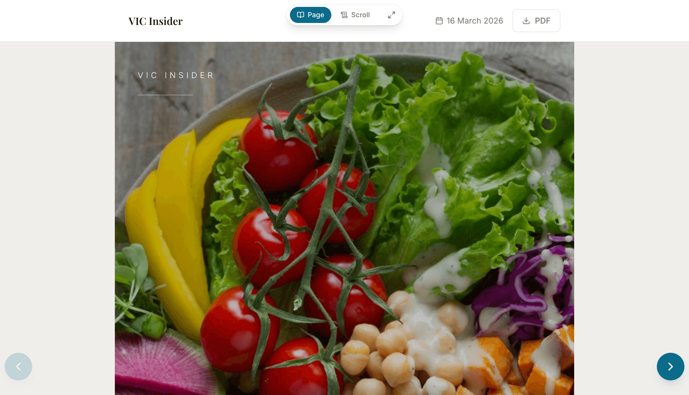 Newsletter Studio, screenshot 1